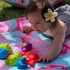 Kép 6/6 - Apollo Playgro fürdőjáték- Floating Sea Friends