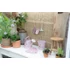 Kép 4/5 - Little Dutch locsolókanna - Fairy Garden