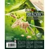 Kép 6/8 - Fa 3D dinoszaurusz puzzle, többféle BUKI