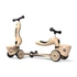 Kép 1/8 - Scoot and Ride Highwaykick 1 Lifestyle 2in1 Kismotor/ Roller- Leopárd