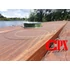 Kép 2/4 - CPX - DUO CARP FEEDER MONO-LINE zsinór - BLACK & GREEN - 300m - 0,20mm
