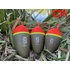 Kép 3/5 - CPX TACKLES - PATRONOS ÚSZÓ - Csepp formájú - 30gr
