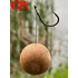 Kép 5/5 - CPX X8 Braid Hooklink - 10m fonott előke - 0,08mm/4,52kg