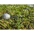 Kép 3/5 - Musaga Magnum Jig horog fejjel - 2 - (3db/csomag) - 2,0gr
