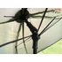 Kép 3/7 - TF GEAR - BANSHEE Square Umbrella - 2 MAN - sátras ernyő ajtóval - kétszemélyes - 3,2m