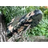 Kép 3/4 - TF Gear - Cipő Primal X-Trail Shoes  - Terep - 40-es méret