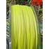 Kép 2/5 - CPX Cybernetic CAT X8 Braid Line - fonott zsinór - Yellow - 300m - 0,45mm